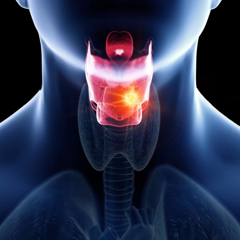Live voice training online video medically proven results for vocal damage and pain